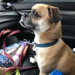 Meet your Posher, Deanna